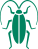 Green Roach icon