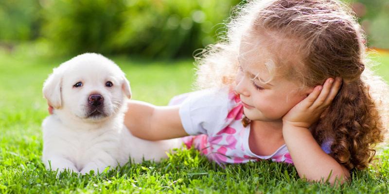 girl laying in grass petting a puppy