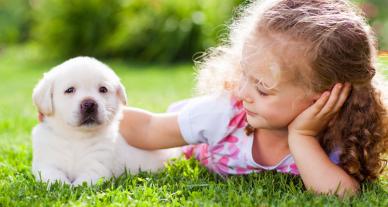 girl laying in grass petting a puppy