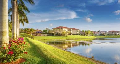 palm trees and beautiful homes in florida with green grass and pond